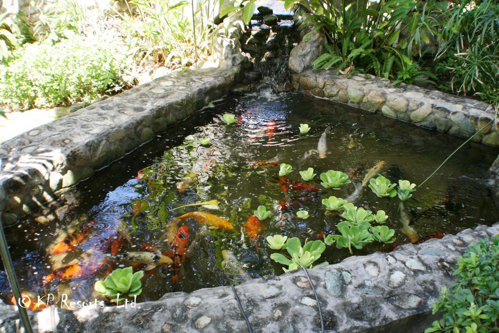 Enchanted Waters Tobago Buccoo 外观 照片